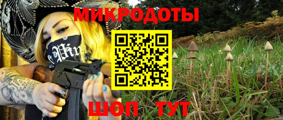 Галлюциногенные грибы MAGIC MUSHROOMS  Галлюциногенные грибы Psilocybe  Вход с VPN  Ульяновск 